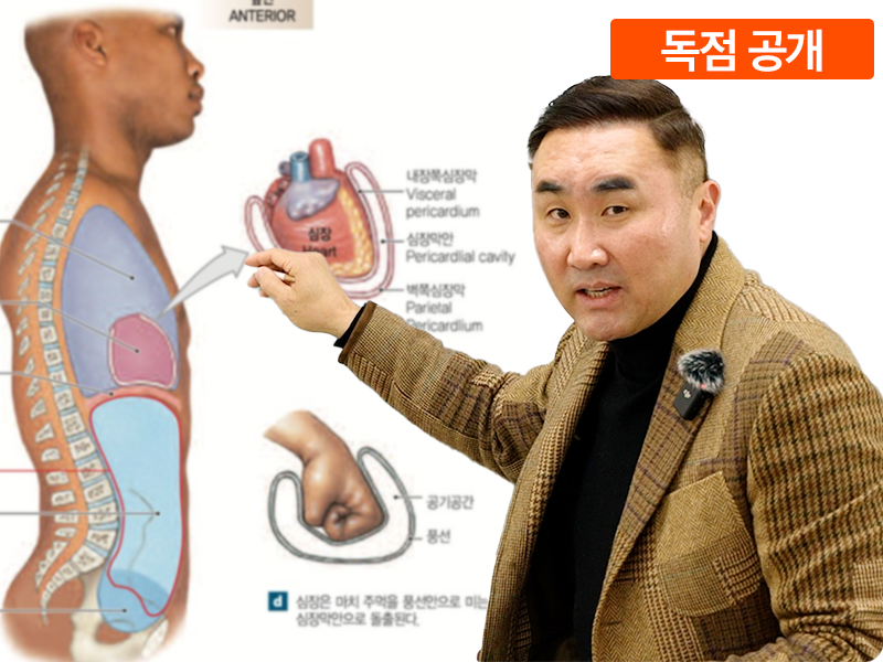 이걸 모르고 운동하면 망가집니다 _계통편