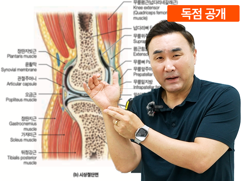 관절 하나 망가지면 끝납니다 _관절편