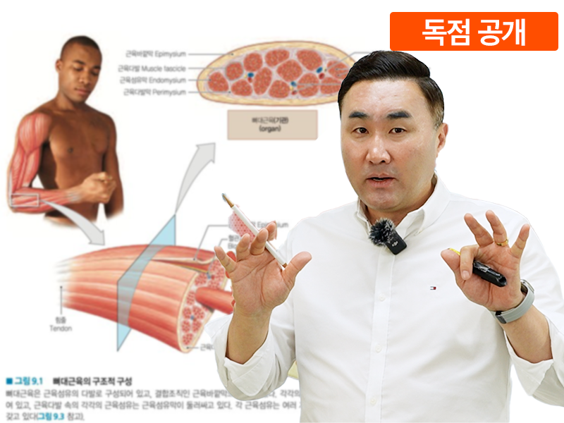 근육 모르면 운동, 다 헛됩니다 _근육편