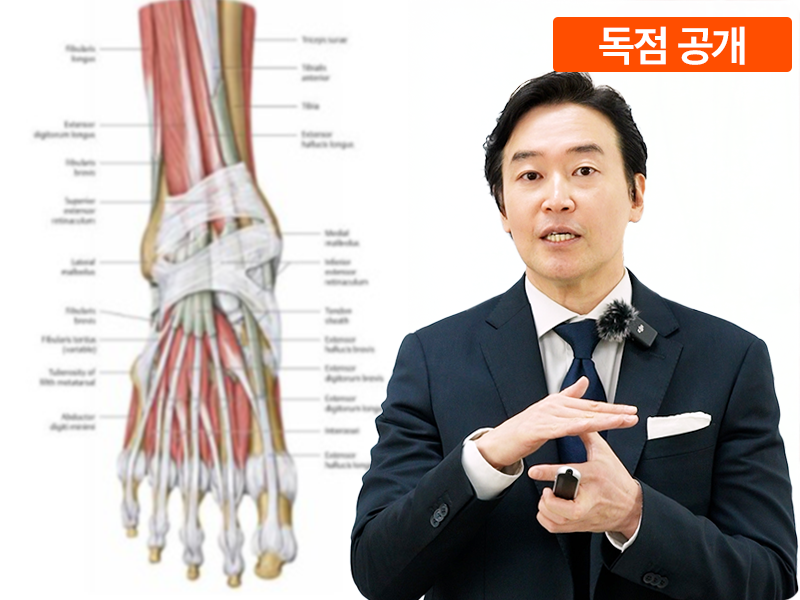 발이 무너지면 다 무너진다_발 기능 해부학편
