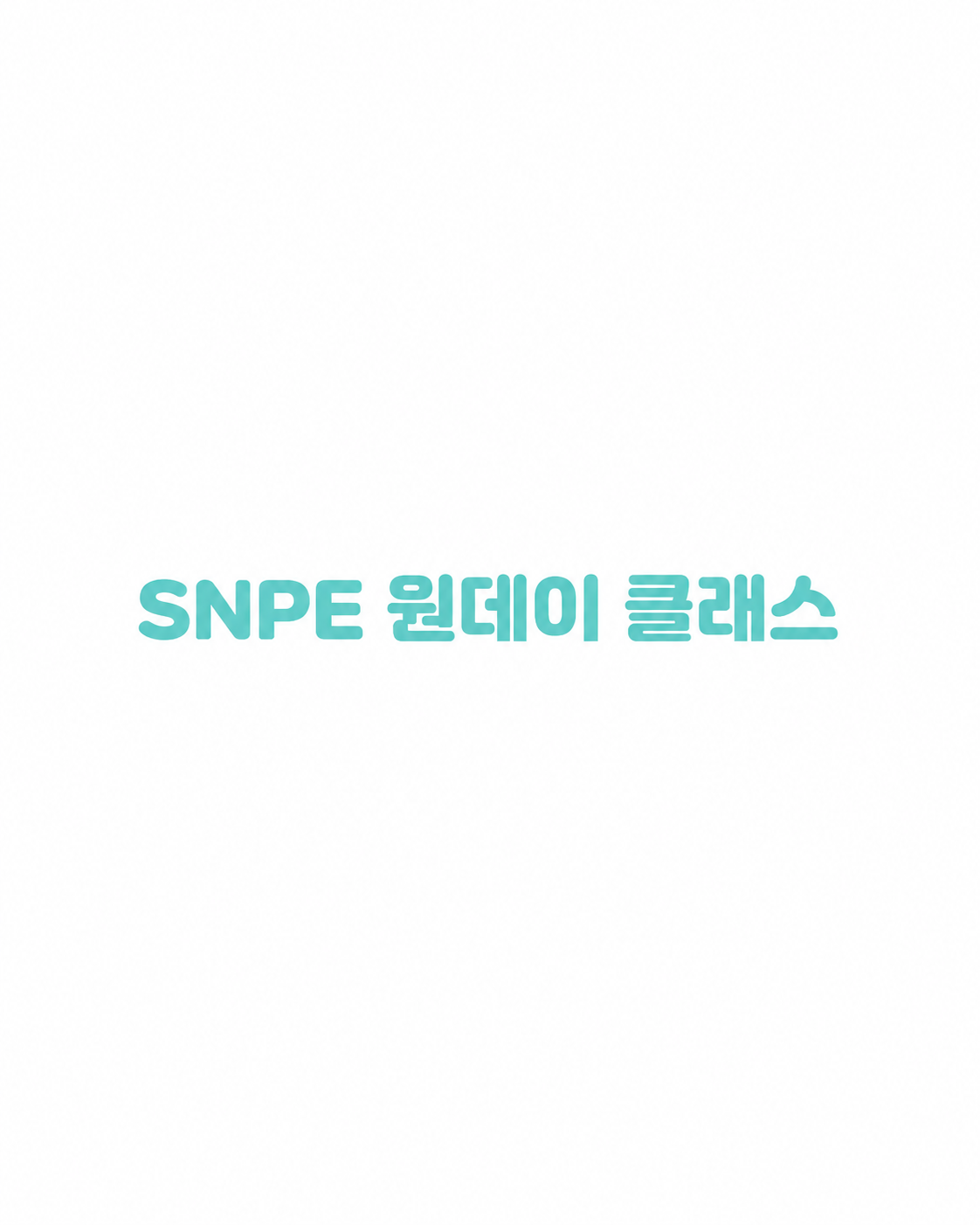 [진쨩xSNPE] SNPE 원데이 클래스