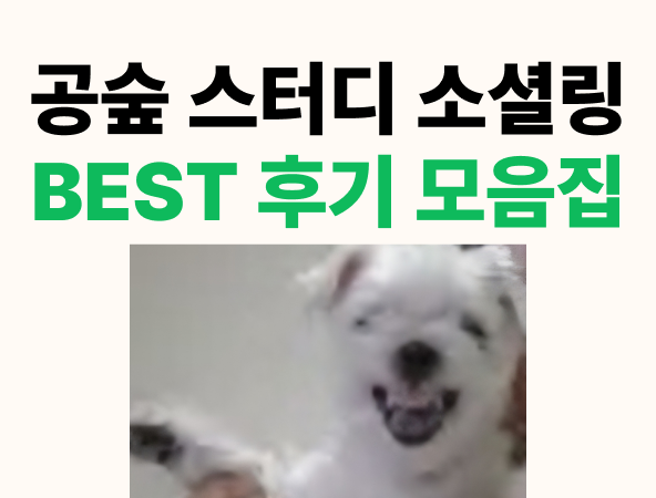 스터디 소셜링 BEST 후기 모음집