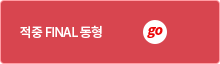 적중 FINAL 동형