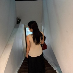 단기합격 교행 셀리