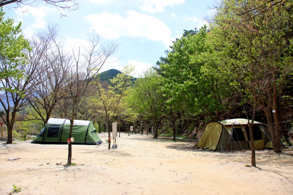 운문산군립공원야영장