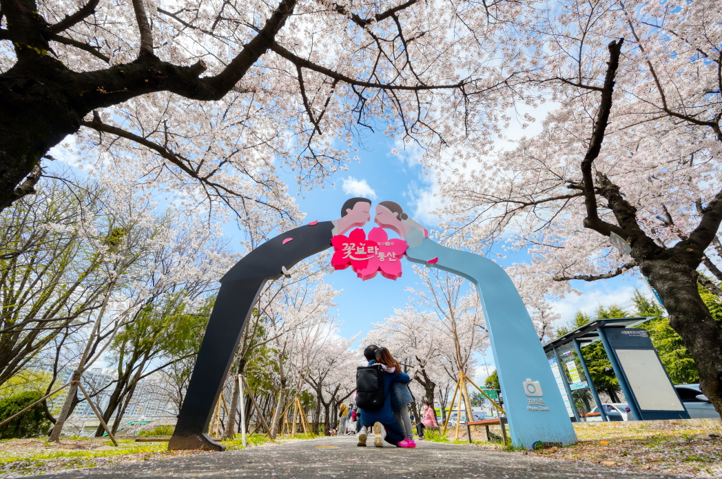 꽃보라동산
