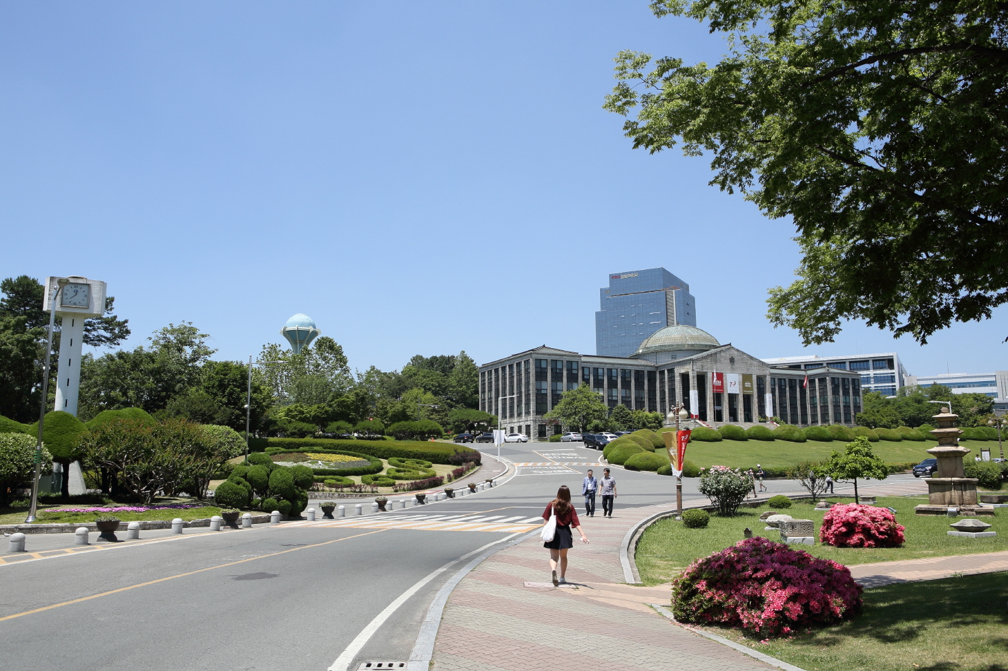 경북대학교