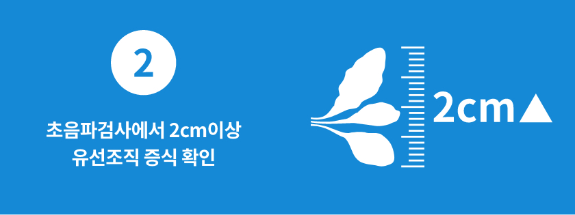 2. 유선조직증식확인
