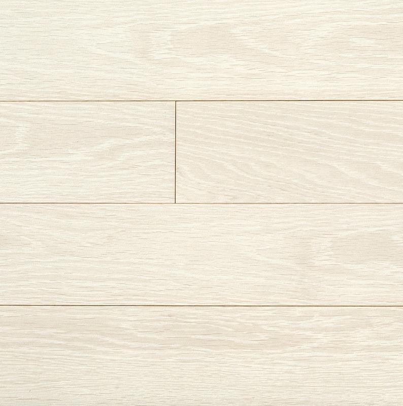 모던 노던 화이트