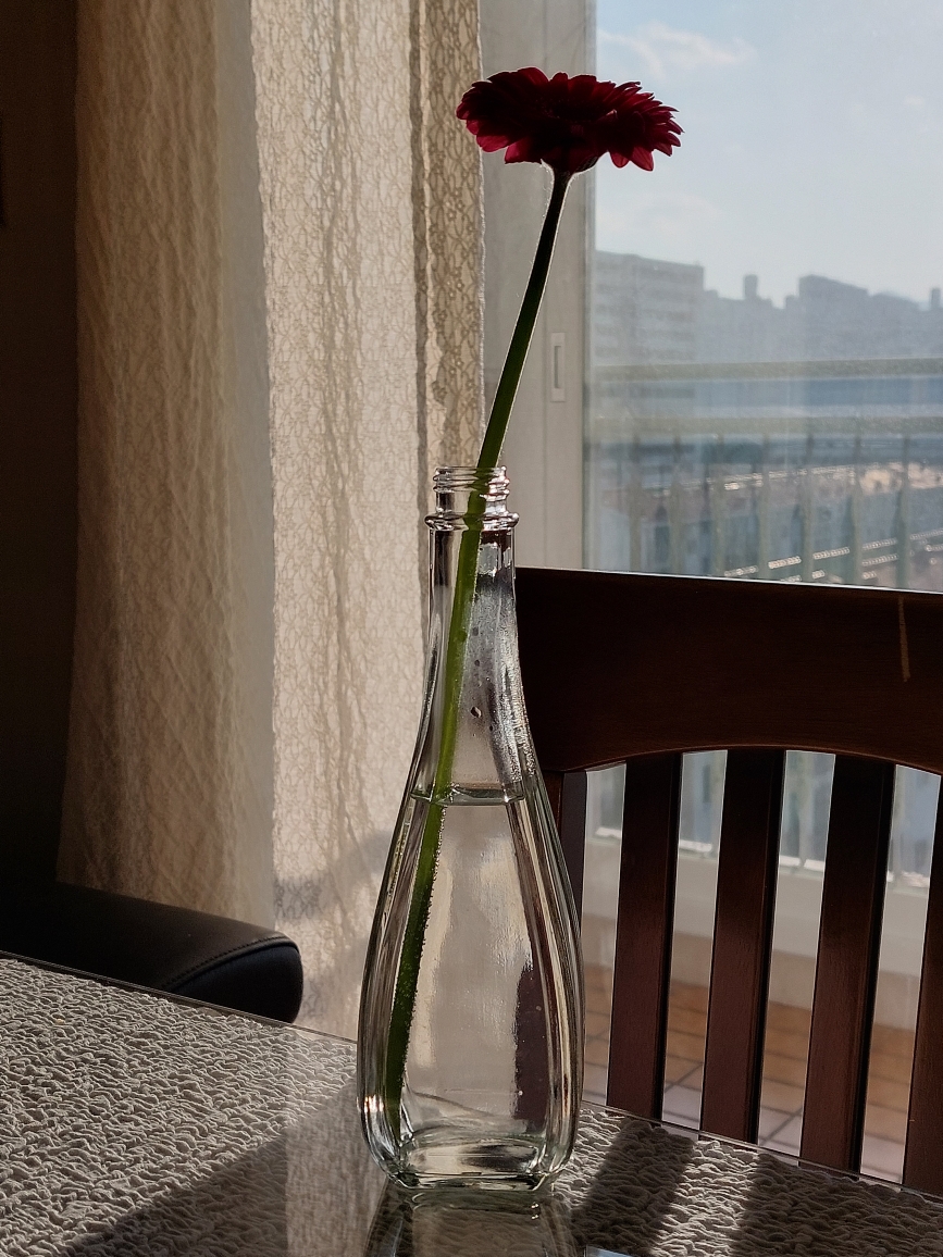 상계주공10단지 사진후기